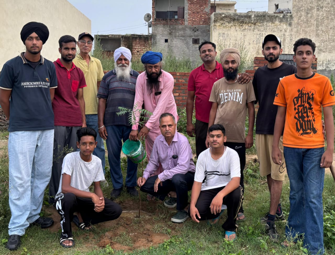 Basant Ritu Club planted Neem saplings.